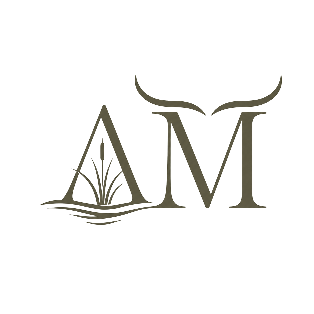 A+M